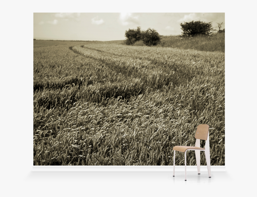 Field, HD Png Download