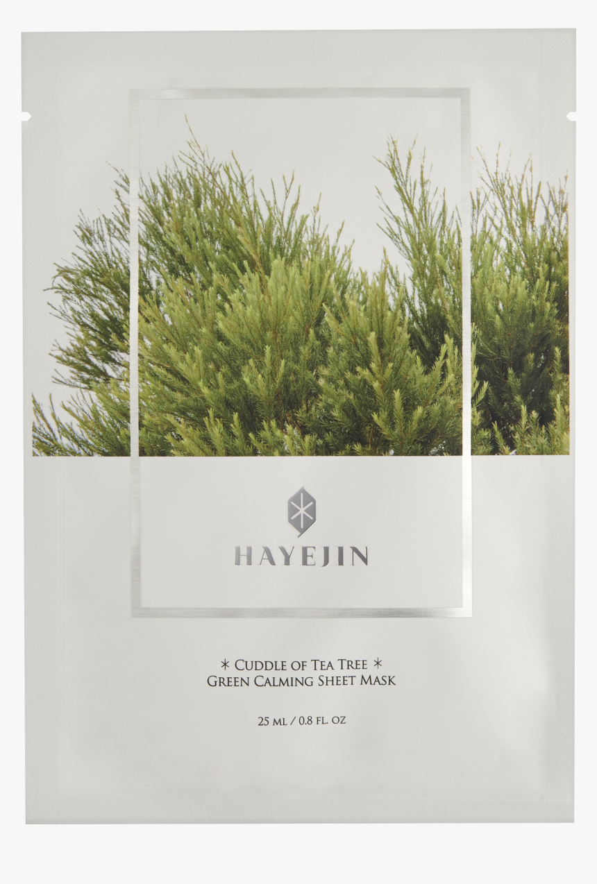 Grass, HD Png Download