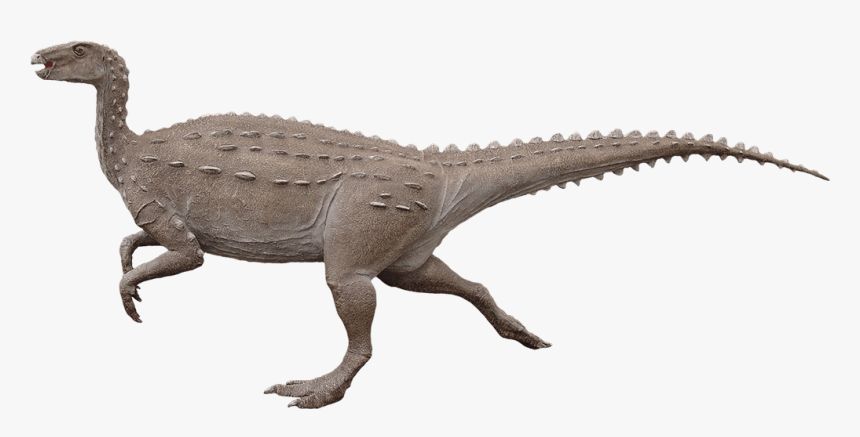 Scelidosaurus Bipedal, HD Png Download