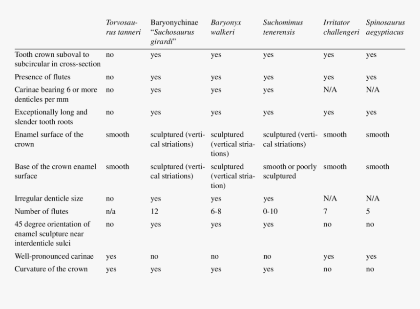 Number, HD Png Download