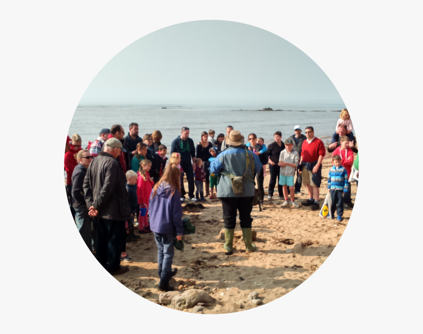 Beach, HD Png Download