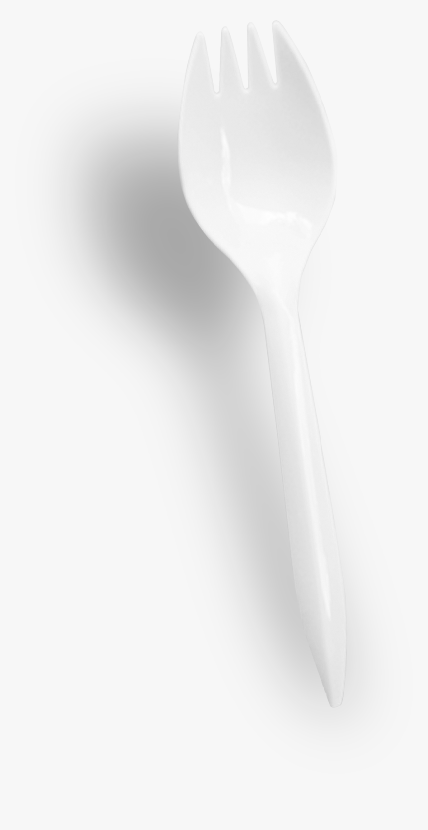 Still Life Photography, HD Png Download