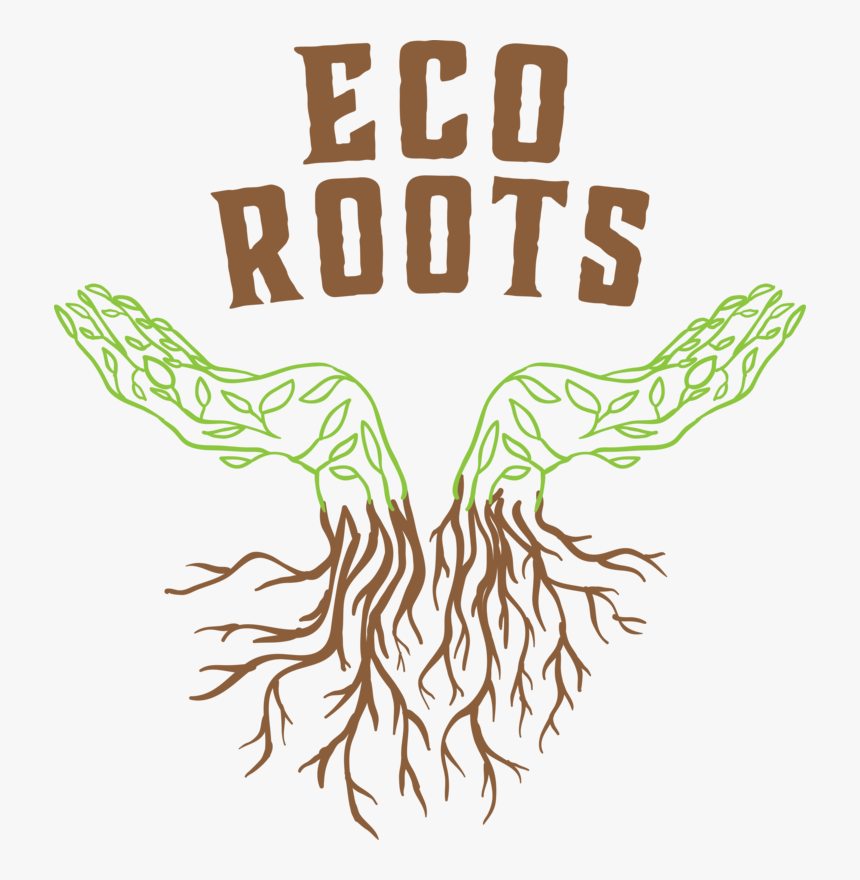 Ecoroots Logo, HD Png Download , Transparent Png Image PNGitem