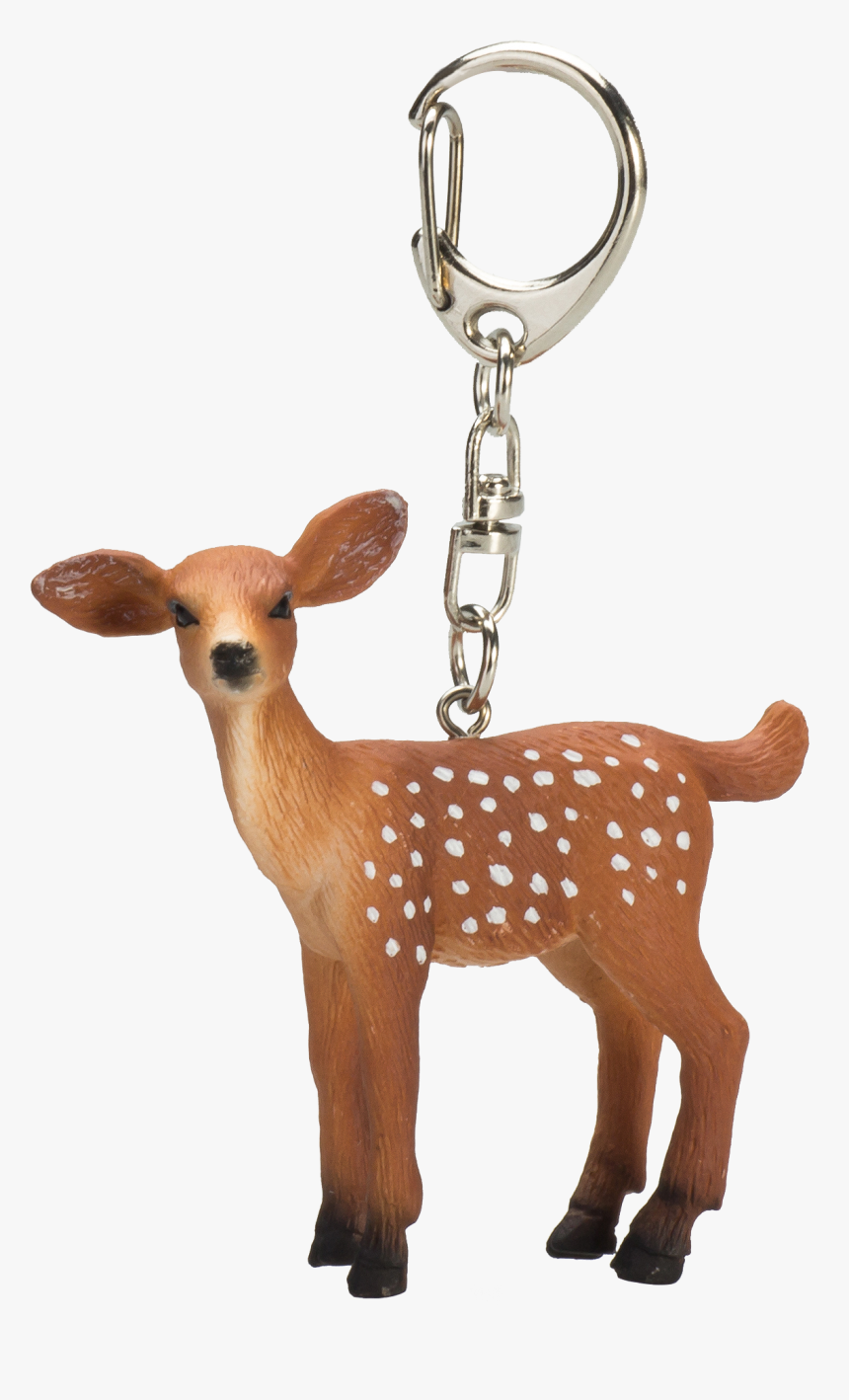 Animal Planet Nøglering Dådyr, HD Png Download