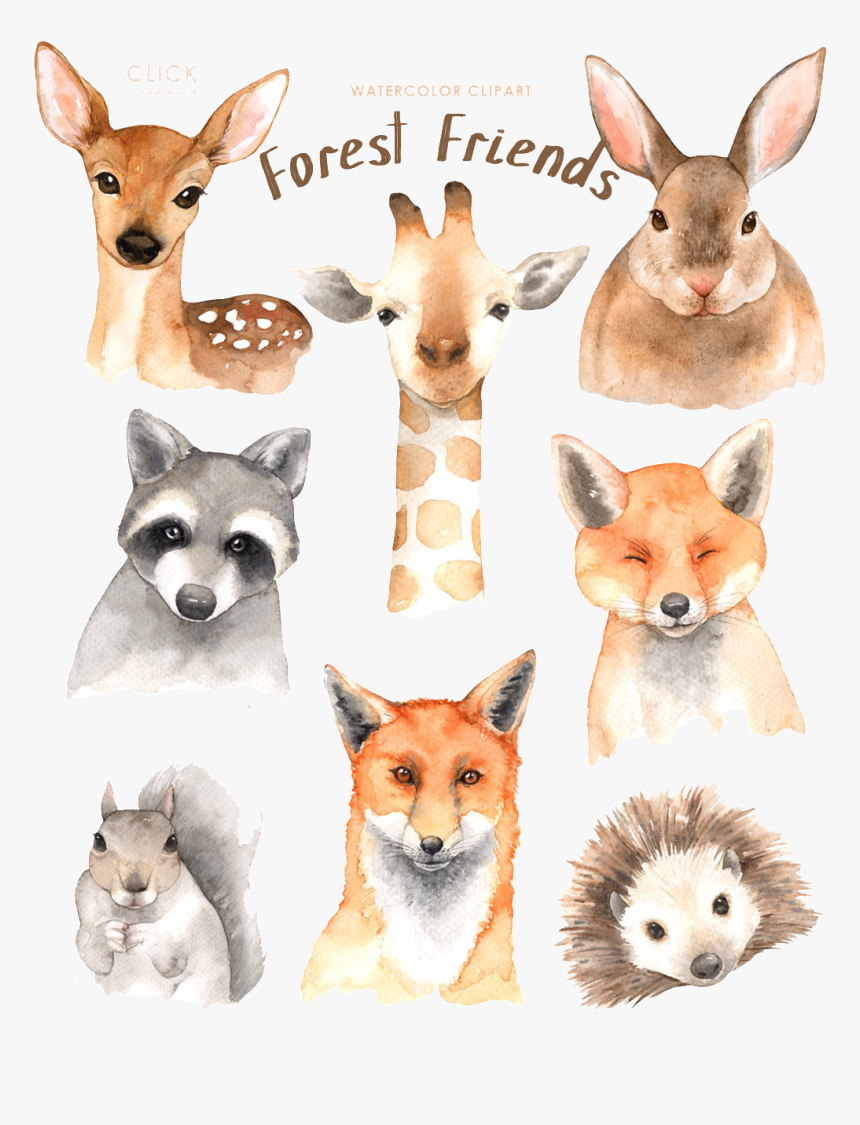 Watercolor Animal Material - Forest Friend Watercolor, HD Png Download
