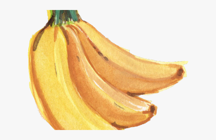 Banana Png Transparent Images - Banana Fruit Watercolor Png, Png Download