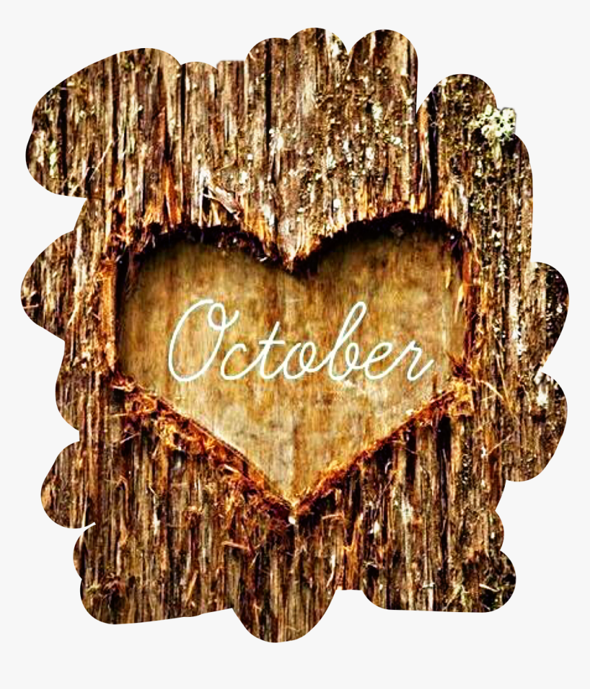 #tree #bark #heart #october #autumn #fall #freetoedit - October My Favorite Month, HD Png Download