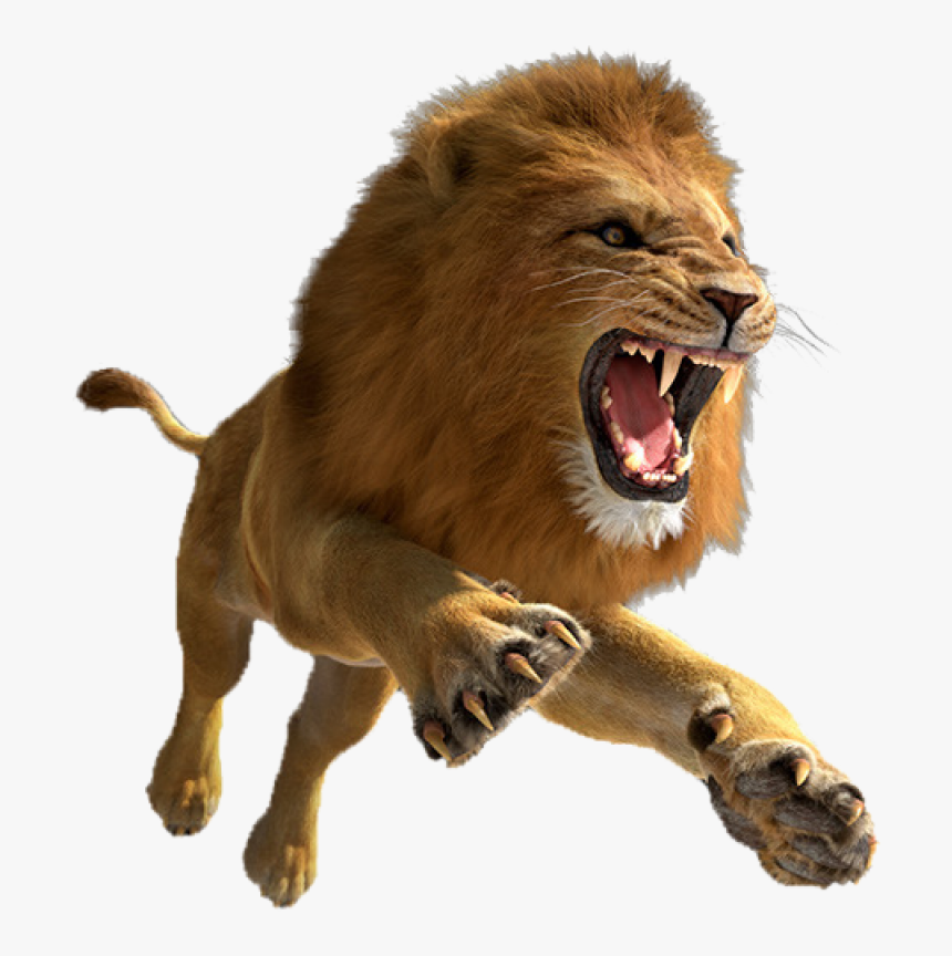 Lion Png Image - Lion Png Hd, Transparent Png