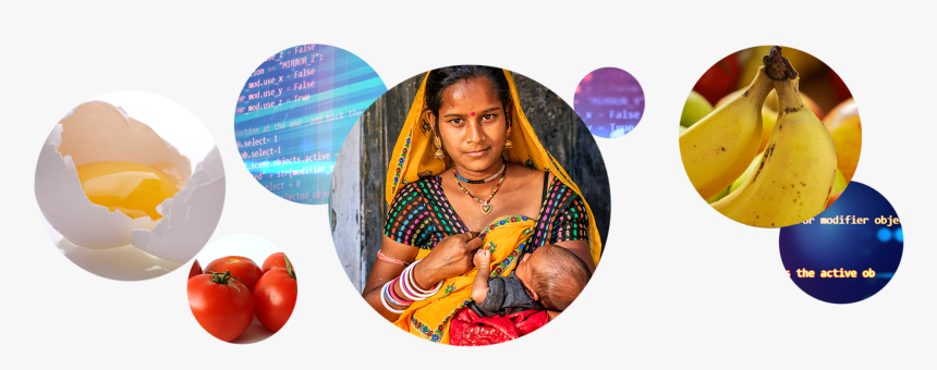 Nutrition Modeling Consortium - Plum Tomato, HD Png Download