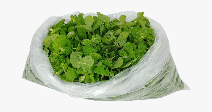 Leaf Vegetable, HD Png Download
