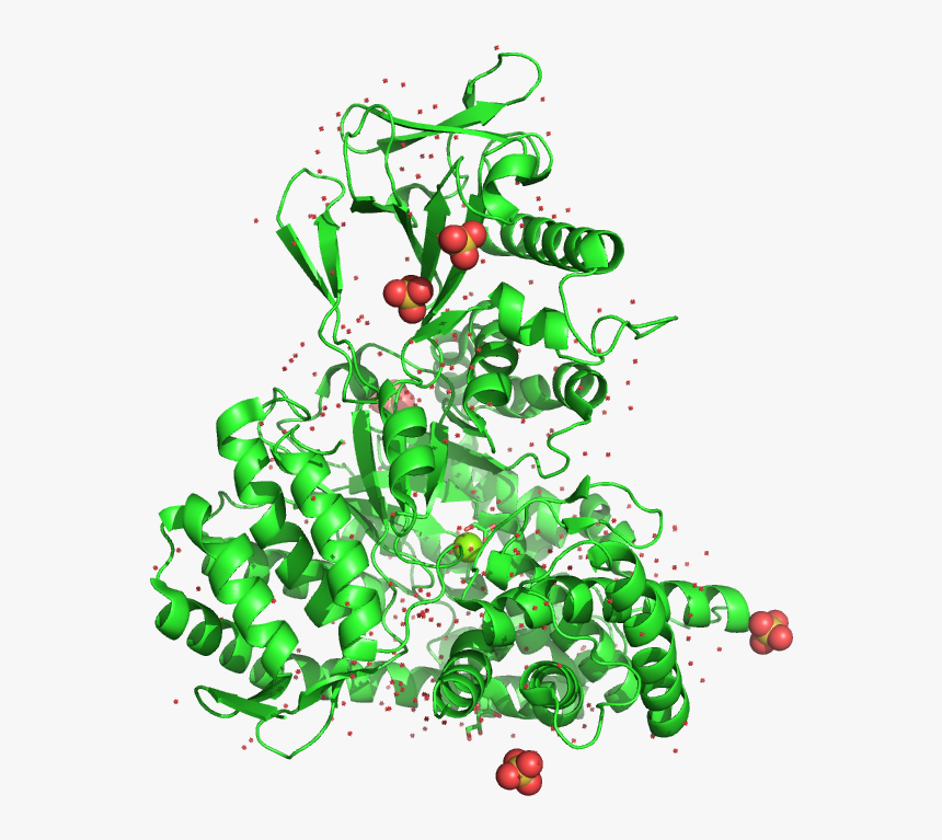 Illustration, HD Png Download