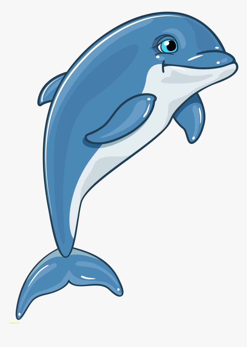 Dolphines Clipart Florida - Dolphin Clipart Png, Transparent Png