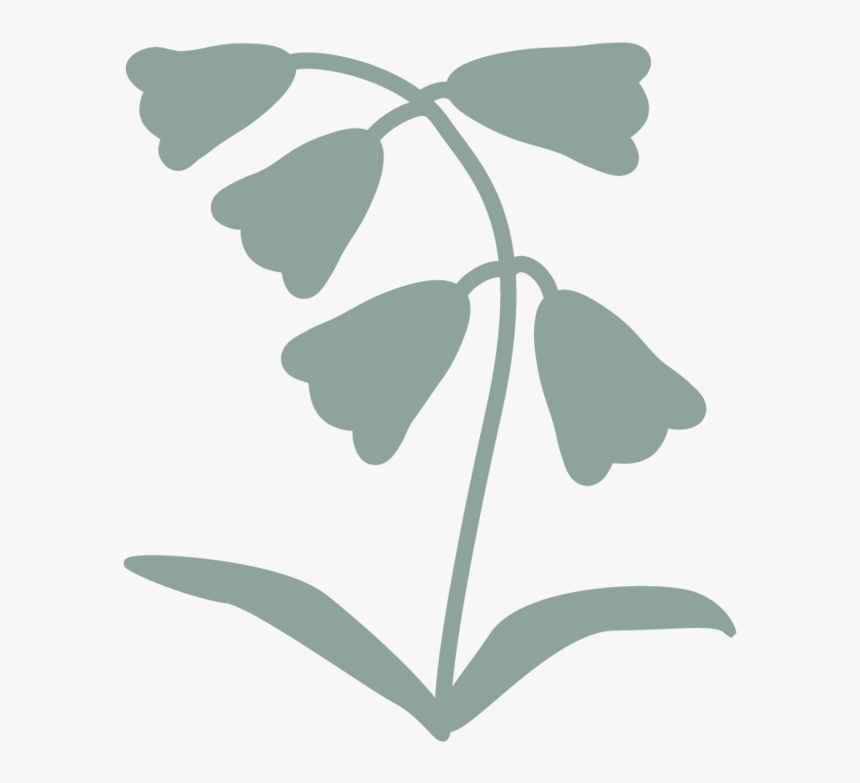 Ml Flowericon Sage - Beltons Public Accountants Limited, HD Png Download