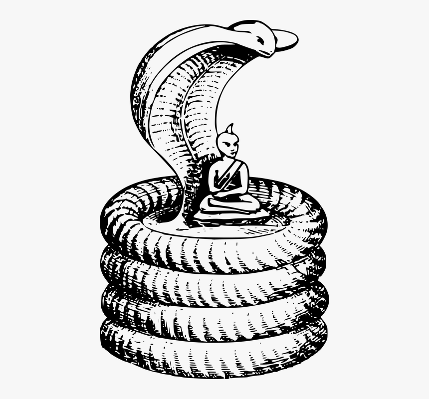 Snake Black And White Clip Art, HD Png Download