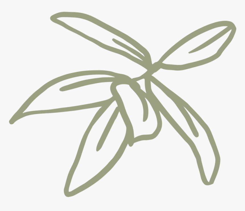Kristin Cronic Foliage 2 Sage, HD Png Download