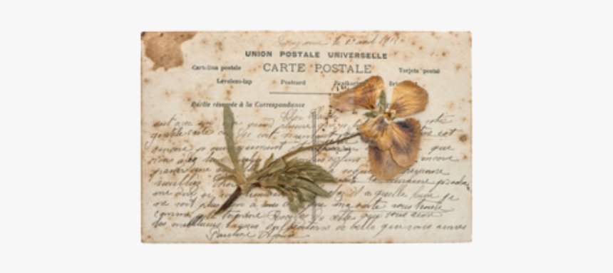 Tag Me If You Use It - Dragonfly, HD Png Download