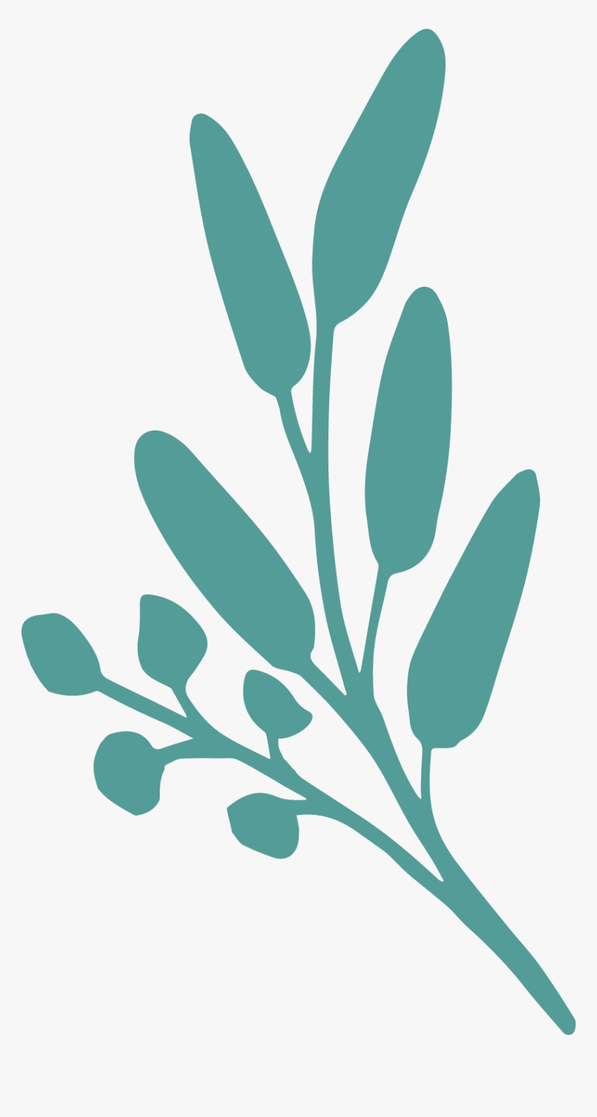 Twig, HD Png Download