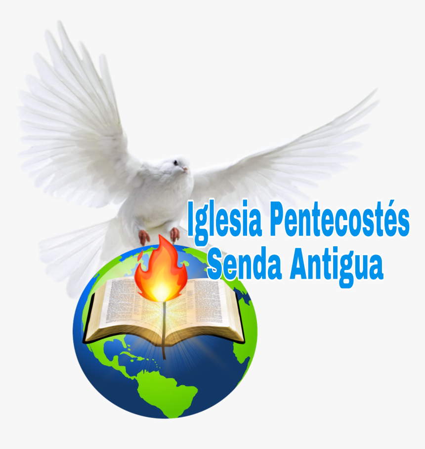 Iglesias Pentecostés Senda Antigua, Inc - Flight, HD Png Download