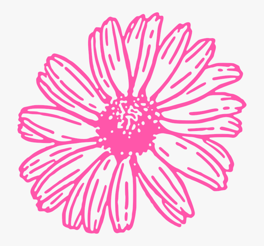 Daisy Graphic Black And White, HD Png Download