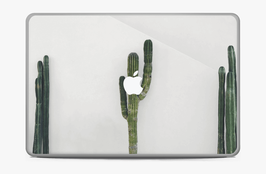 Mexican Cactus Skin Macbook Pro 17” - San Pedro Cactus, HD Png Download