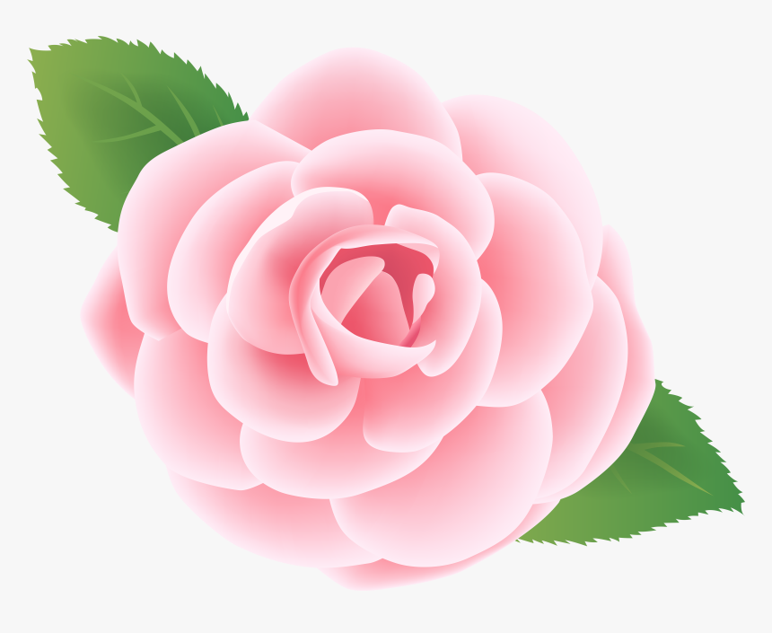 Pink Flower Deco Png Clip Art Image, Transparent Png