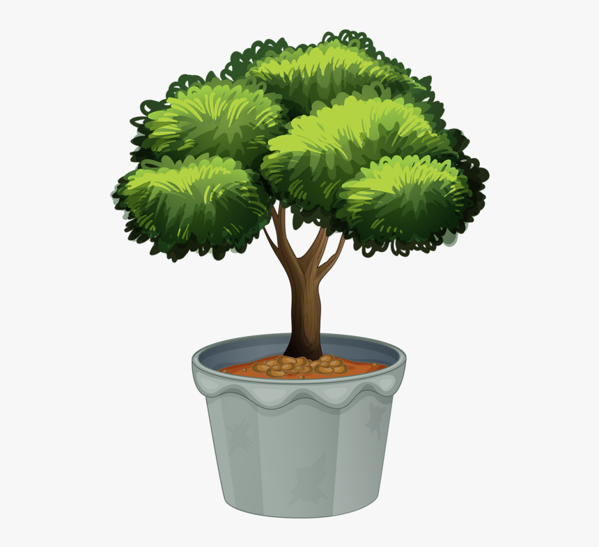 Tree Pot Plant Clipart, HD Png Download