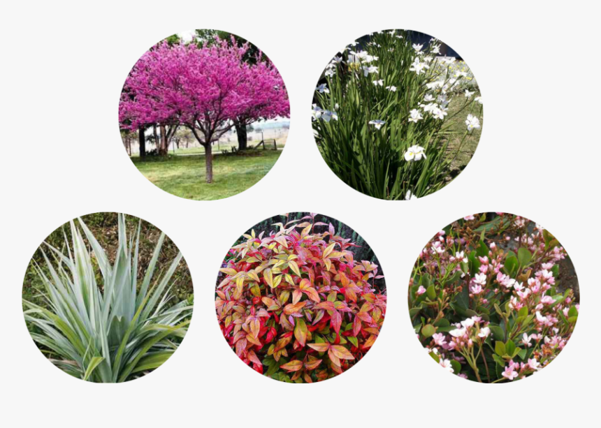 Artificial Flower, HD Png Download