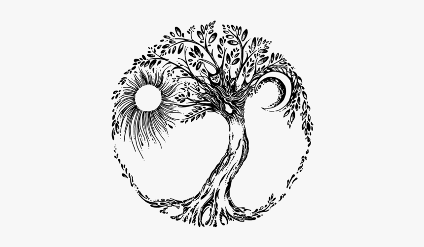 Tree Graphic - Line Art, HD Png Download