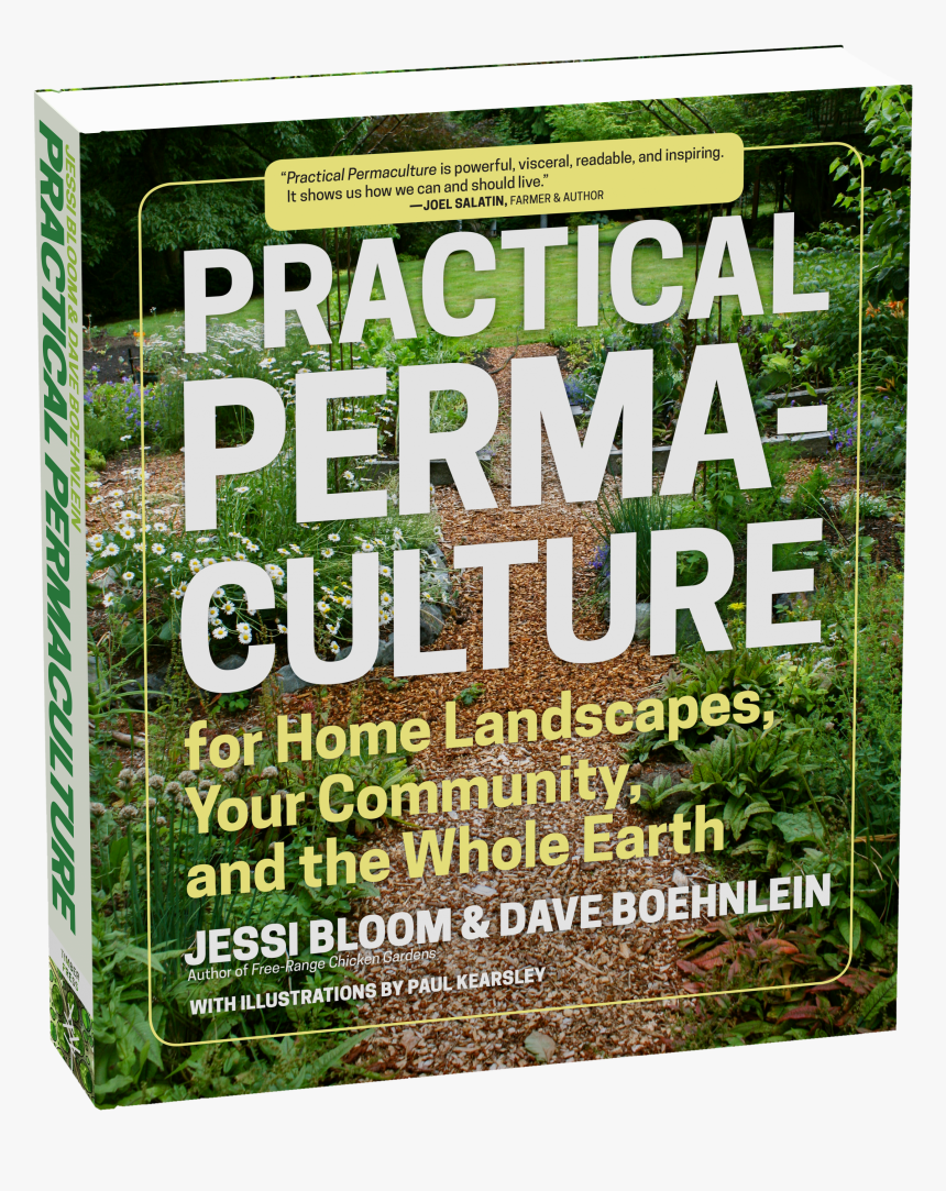 Cover - Grass, HD Png Download