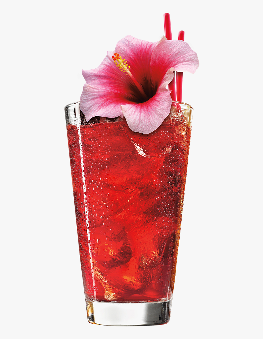 Passion Fruit And Hibiscus, HD Png Download
