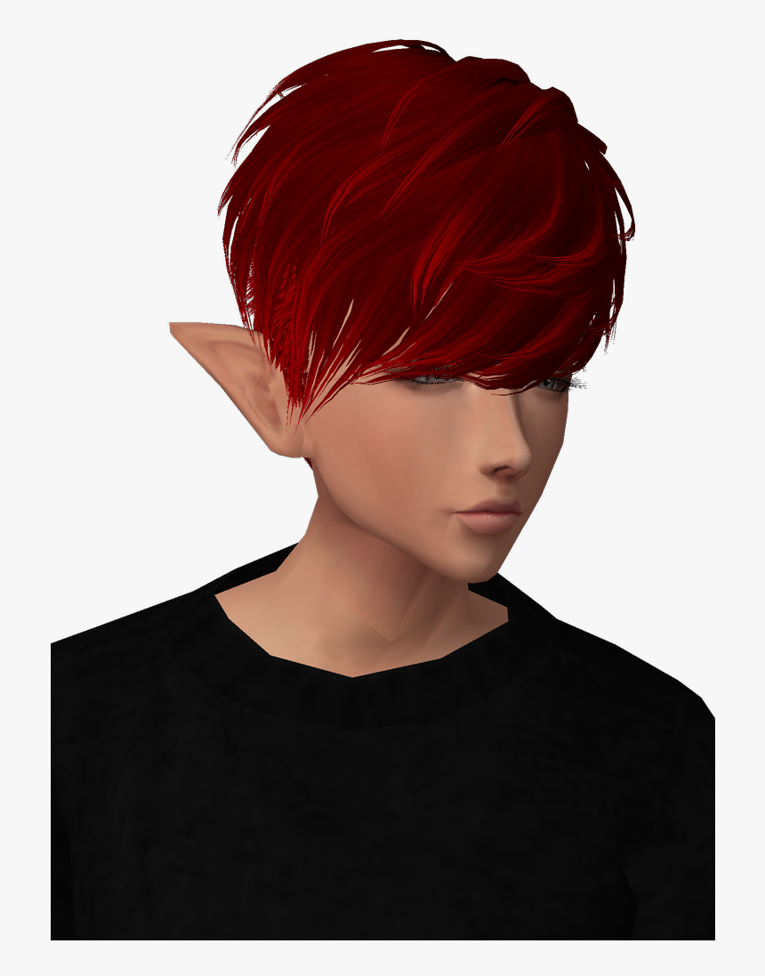 Lace Wig, HD Png Download