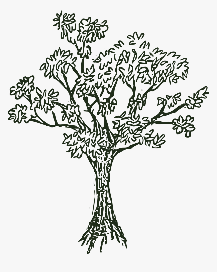 Hill Tree Png Black And White - Lost Hill Lake Events, Transparent Png
