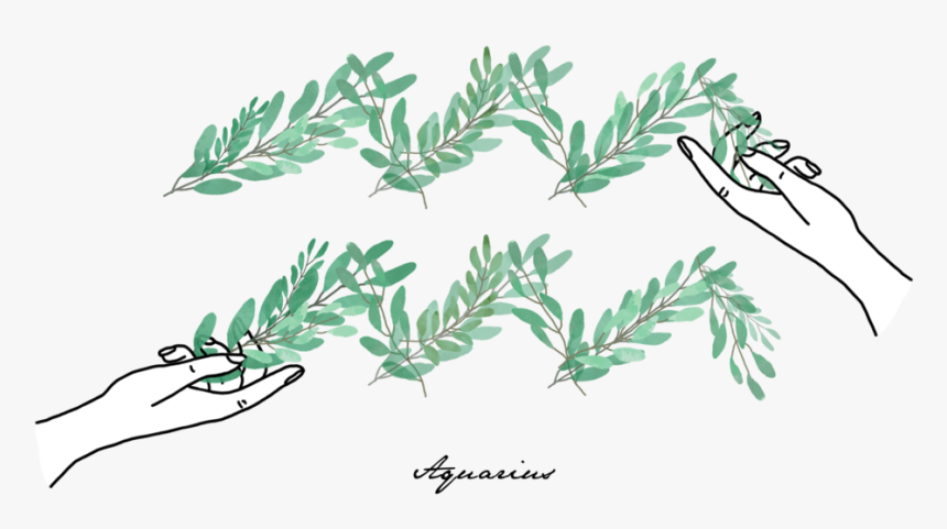 Aquarius, HD Png Download