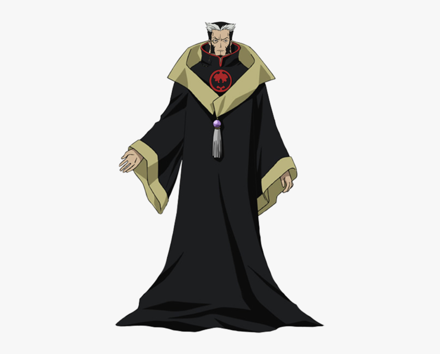 Villains Wiki - Fei Wang Reed, HD Png Download