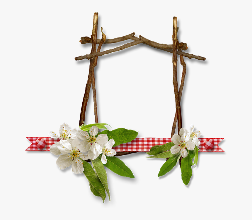 Moldura Com Galho De 醨vore Png Para M醩cara E Mon - Galho De Arvore Png, Transparent Png