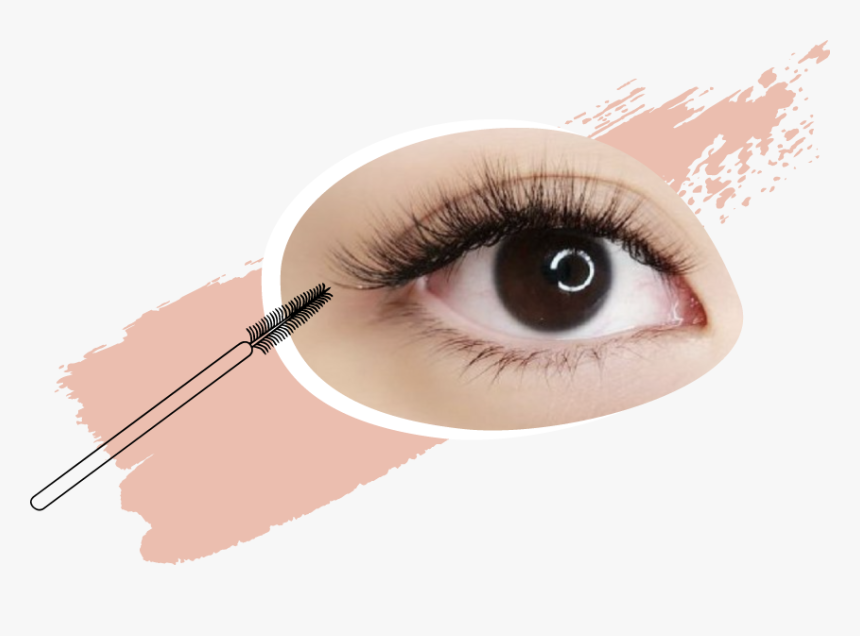 Eye - Eyelash Extensions, HD Png Download