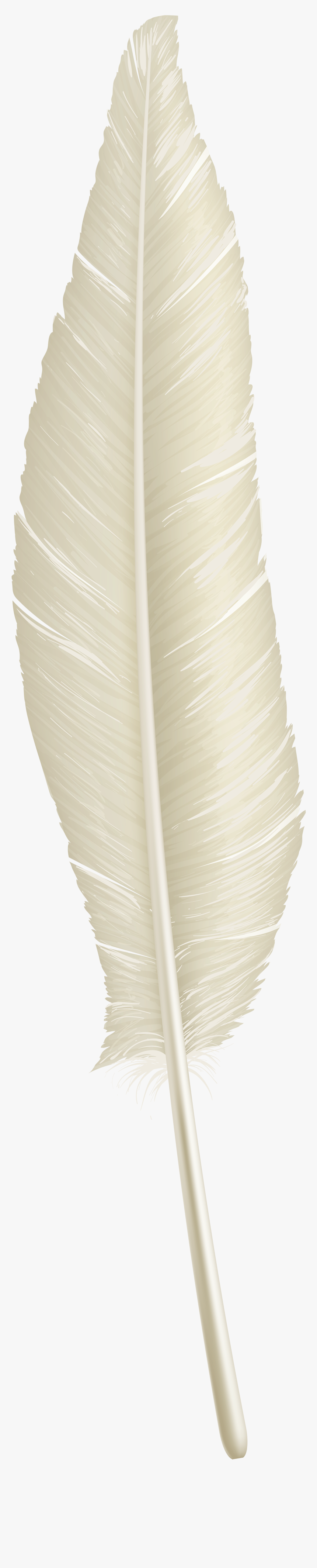 White Feather Png Download, Transparent Png