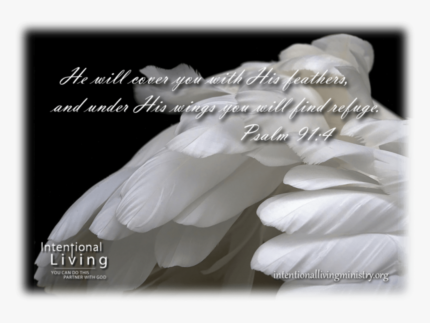 Calligraphy, HD Png Download