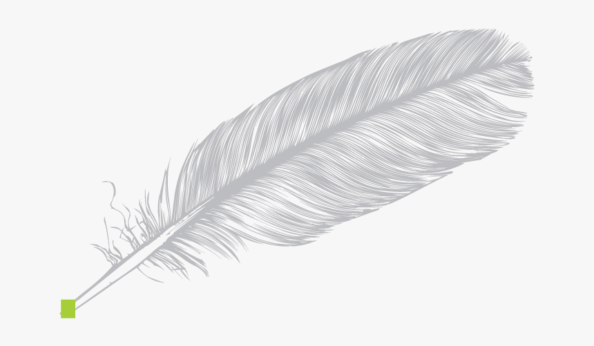 Sketch, HD Png Download