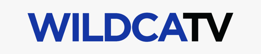 Oval, HD Png Download