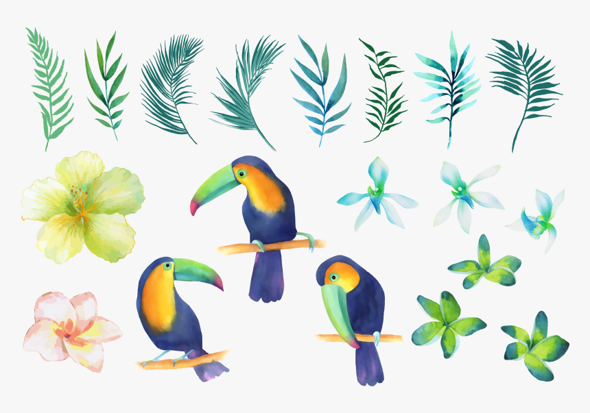 Birds In A Tree Clipart Clip Transparent Stock Parrot - Watercolor Painting, HD Png Download