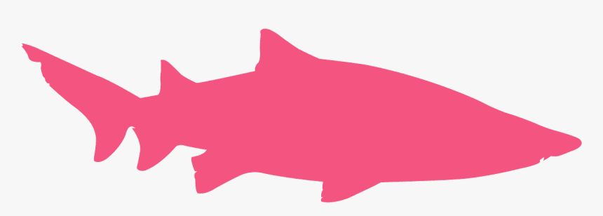 Sand Tiger Shark Png, Transparent Png