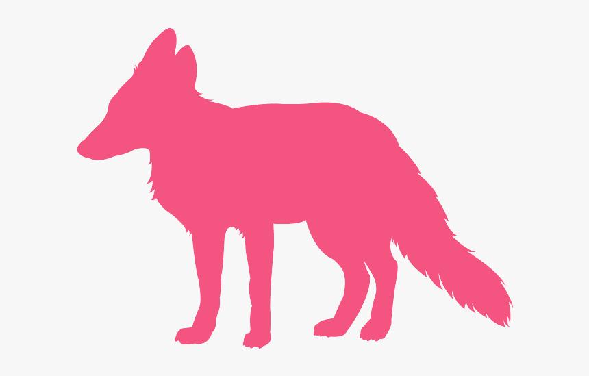 Black Fox No Background, HD Png Download