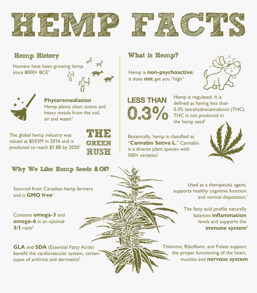 Everythings Ok, HD Png Download