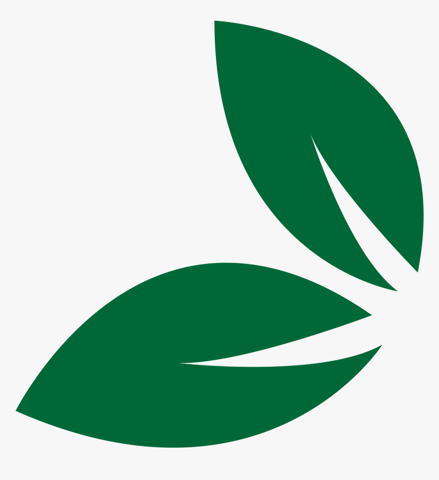 Leaf , Png Download, Transparent Png