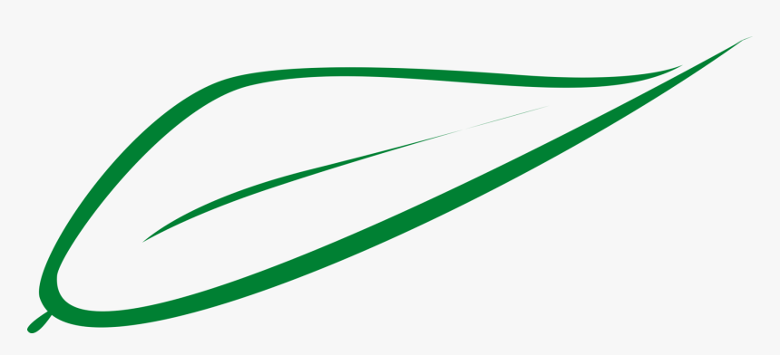 Line,green,parallel, HD Png Download