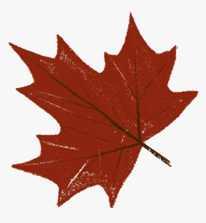 #leaf #hoja #naranja #rojo #orange #rouge #red #tumblr - Maple Leaf, HD Png Download