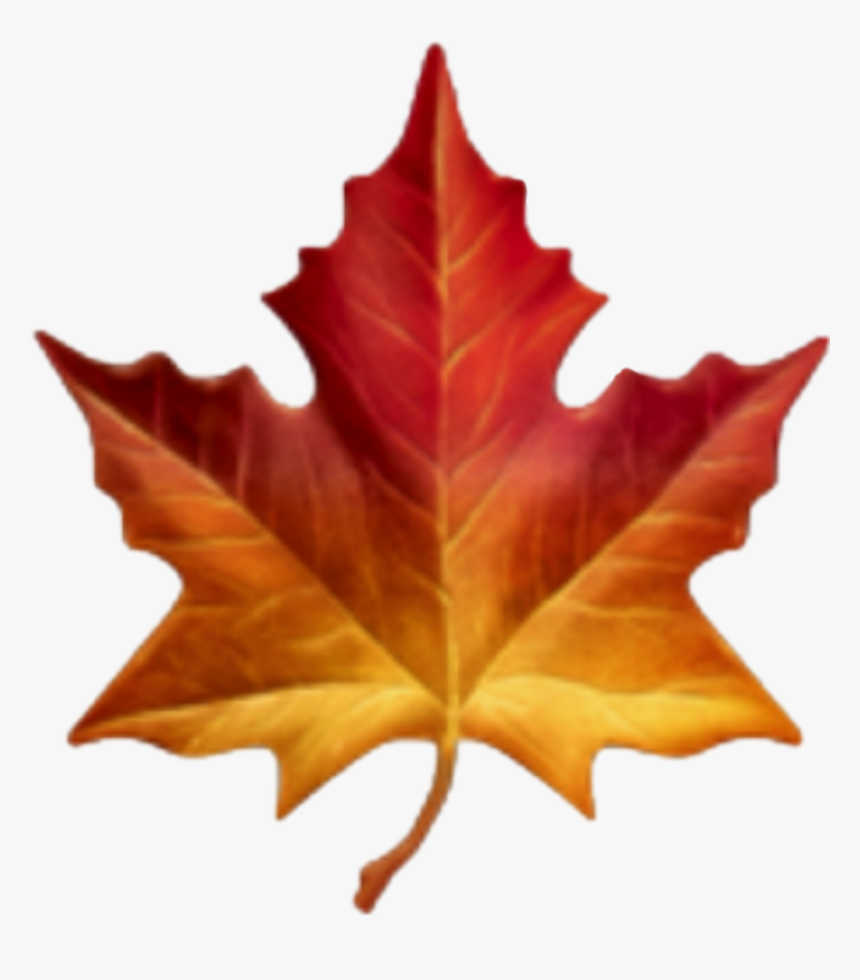 #hoja #orange #yellow #naranja #amarillo #yellowflower - Emoji Hoja De Otoño, HD Png Download