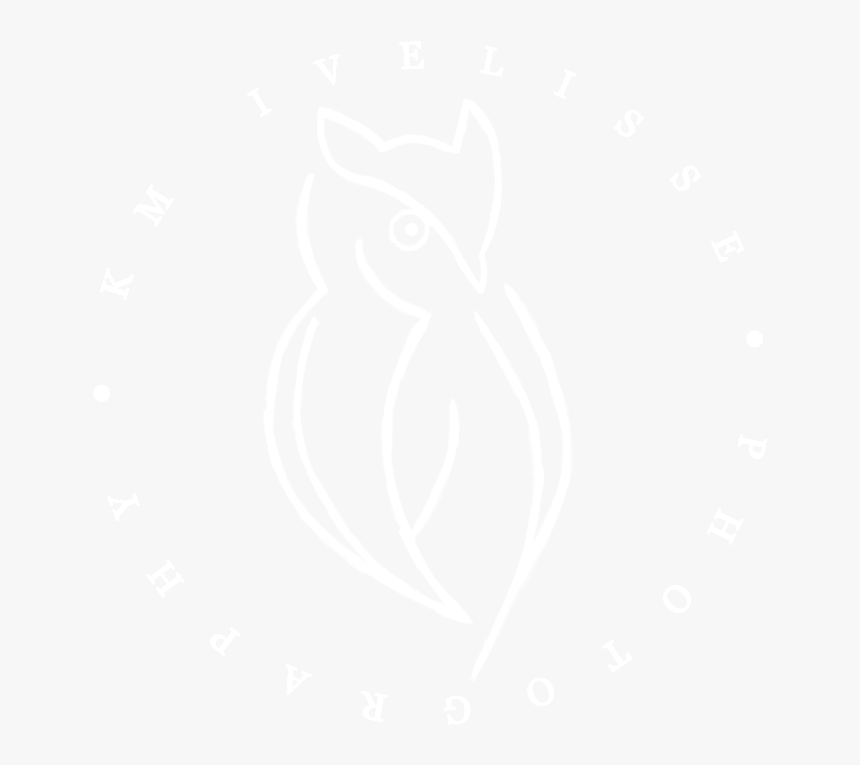 Johns Hopkins Logo White, HD Png Download