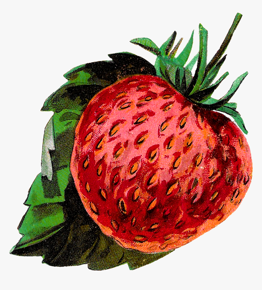 Transparent Fruit Clipart Png, Png Download